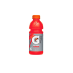 Gatorade Fruit Punch